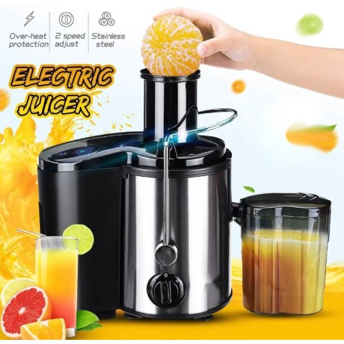 Extracteur de Jus - 800 W - Gris